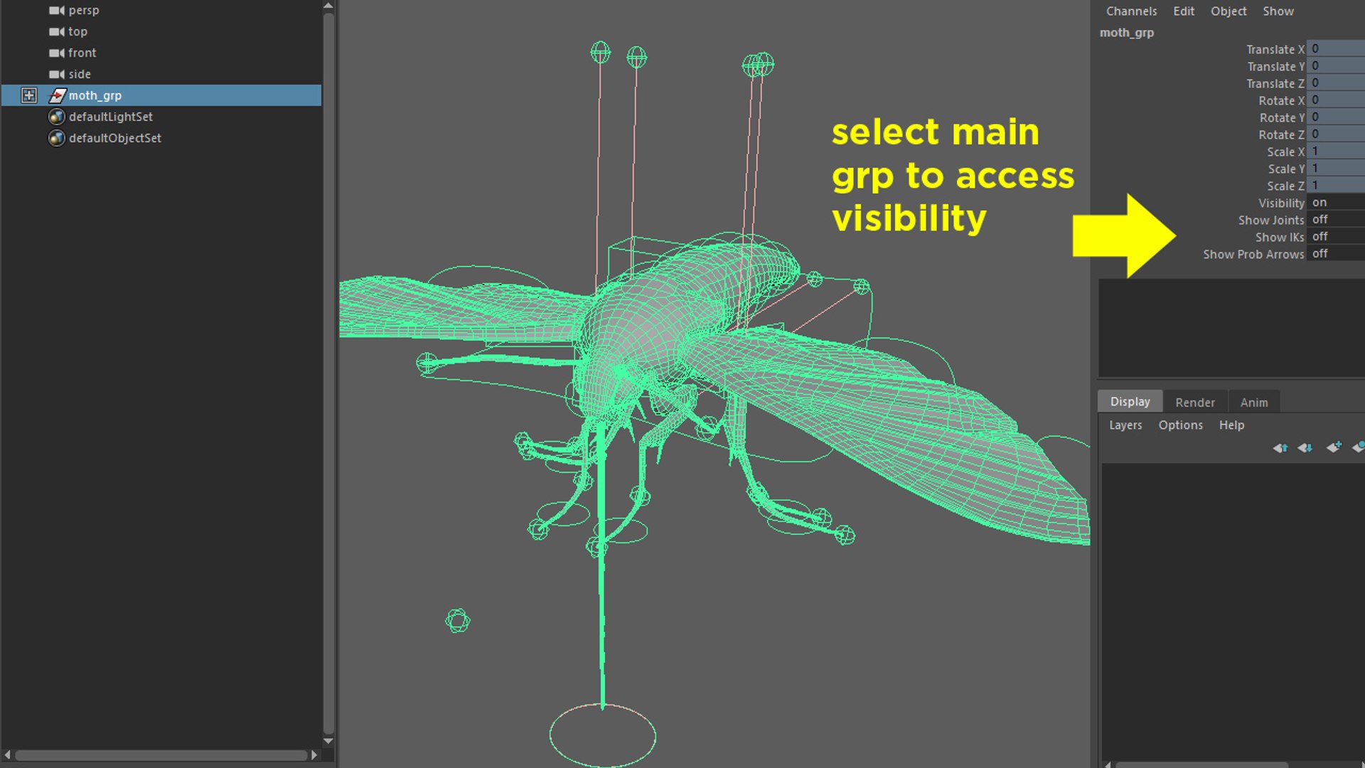 3D moth rigged https://p.turbosquid.com/ts-thumb/80/zyWXMH/i5BscwIO/scr_grp/jpg/1531771944/1920x1080/fit_q87/866160201abad7bb141fcb48bd3cf4aef51a2c58/scr_grp.jpg