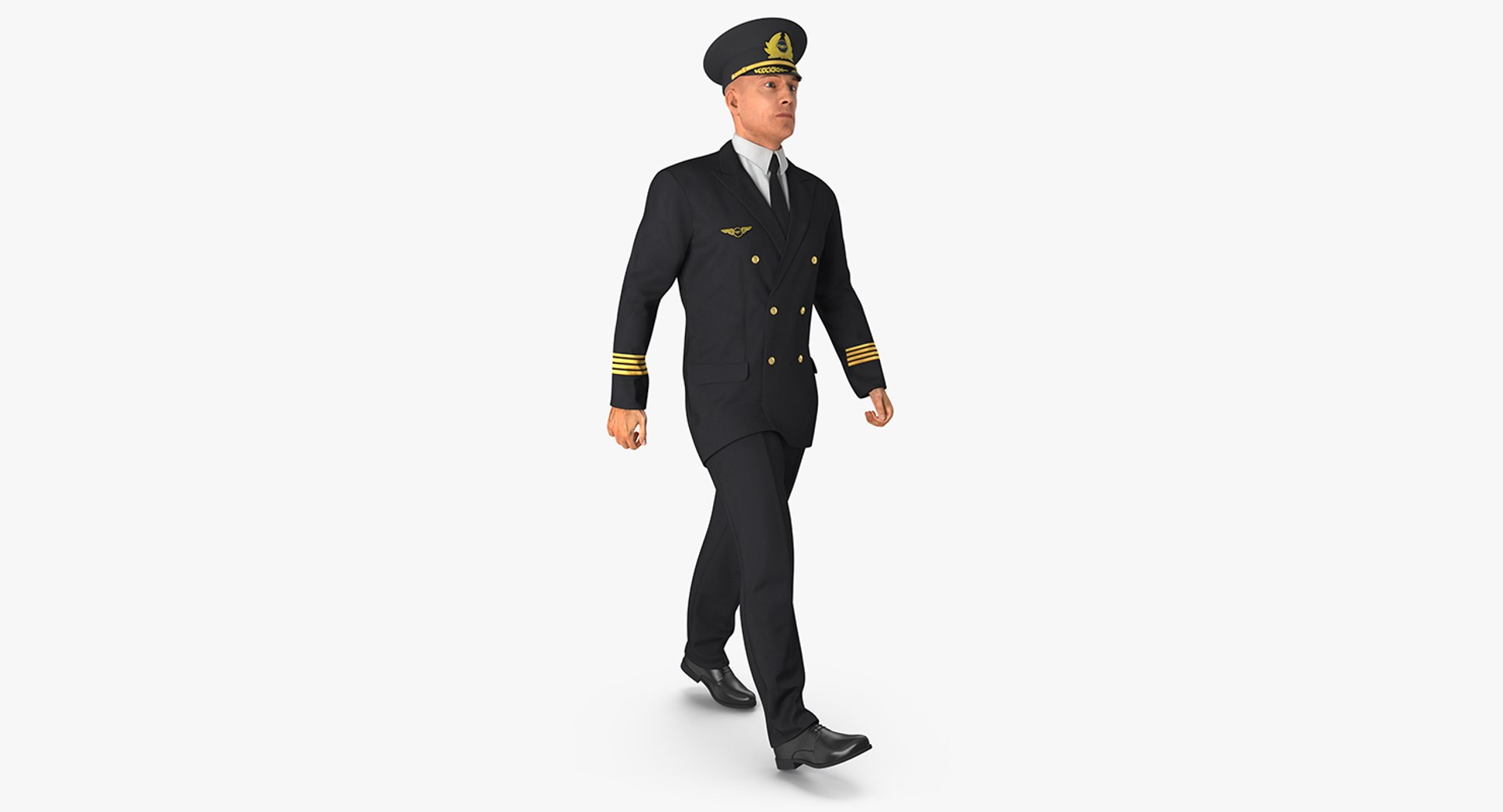 Airline Pilot Rigged 3D Model preview