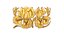 décoration murale classique fleurs ornement 17