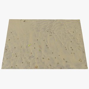 sand scan 3D model