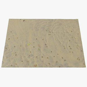 Sand Scan