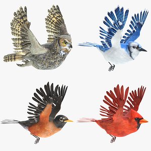 Animated Birds Set