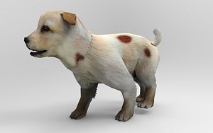Puppy Dog 5 Animations 3D model