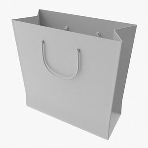 shopping bag model