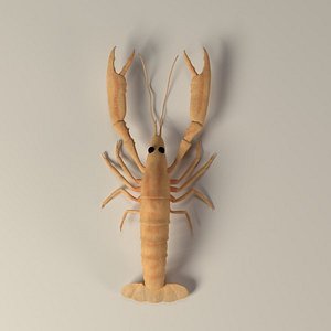 scampi