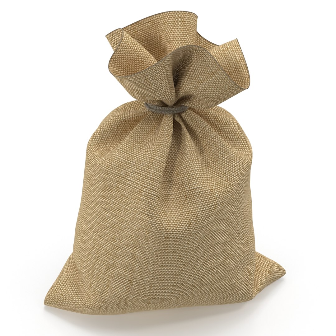 money bag 3d 3ds https://p.turbosquid.com/ts-thumb/82/3EKUeJ/QORym93h/bag_2/jpg/1438549898/1920x1080/fit_q87/8a3a797a28930998d25f188afd9972d9cbc7476a/bag_2.jpg