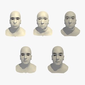 3D model realistic rigged head 70