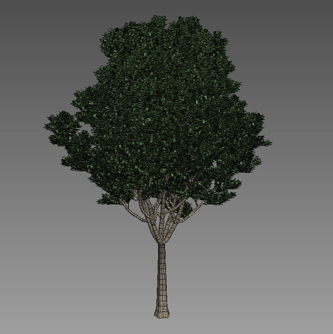 3d model of tree v1 https://p.turbosquid.com/ts-thumb/82/9x36hs/JlWalC79/04/jpg/1484749226/1920x1080/fit_q87/bfebeff9c73148de003fb7ac923d066c42ac777e/04.jpg