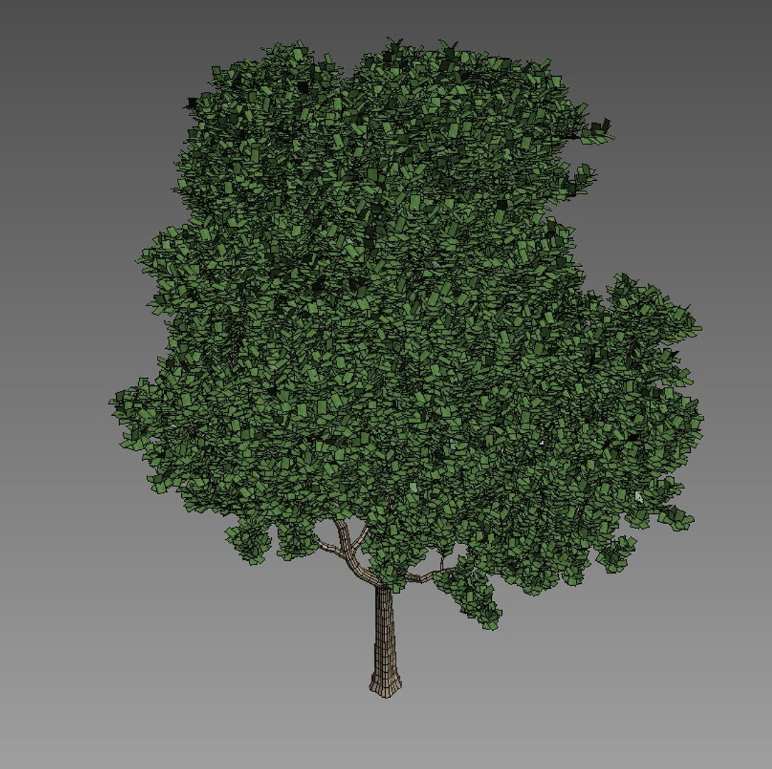 3d model of tree v1 https://p.turbosquid.com/ts-thumb/82/9x36hs/hMoZMM5n/05/jpg/1484749226/1920x1080/fit_q87/5c9ef0a655cf39cbafbda643fda454fd2b0ef09a/05.jpg