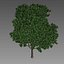 Tree v1