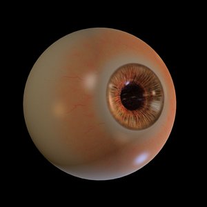 eye 3d obj