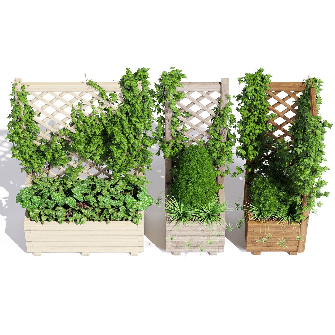 3D model planter trellis 66 litres https://p.turbosquid.com/ts-thumb/82/NPyMmF/YpPvfRwh/ptp2/jpg/1532899546/1920x1080/fit_q87/8b39b13b08bb5f0b970fada550febcc0315f90a4/ptp2.jpg