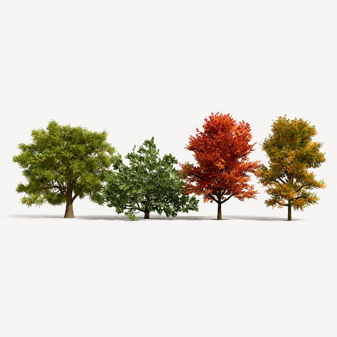 4 North American Oak Trees 3D model https://p.turbosquid.com/ts-thumb/82/OKLvCT/U3/00000cover/png/1784736902/1920x1080/fit_q87/d0c180f00d373bfdf77f9297d13b11928bc87db1/00000cover.jpg