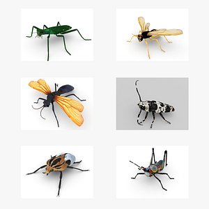 3D Insects bundle