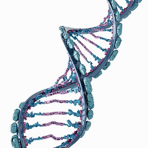 DNA Robot