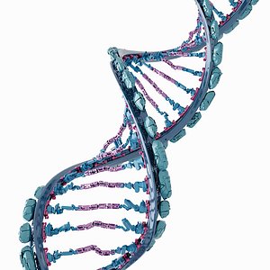DNA Robot