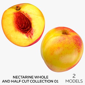 3D model Nectarine Whole and Half Cut Collection 01 - 2 models