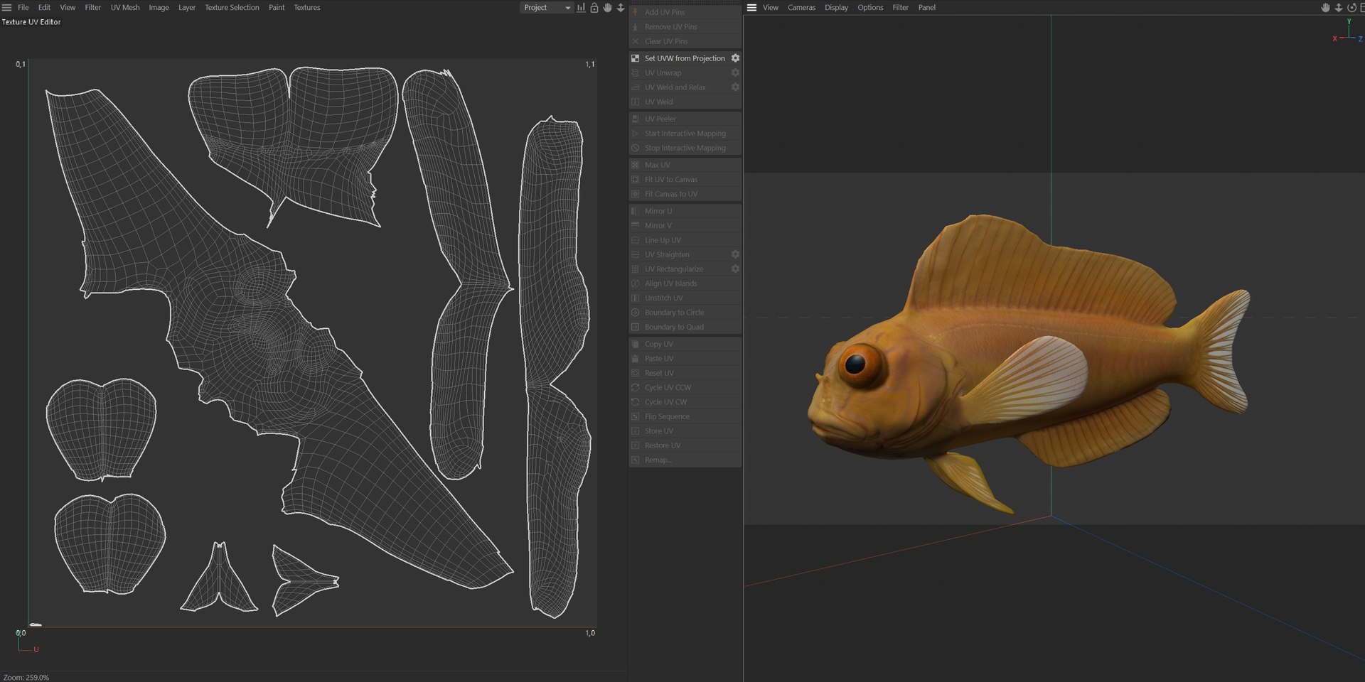 Midas Blenny 3D model https://p.turbosquid.com/ts-thumb/82/Zlzmpb/Gc/uv/jpg/1775197405/1920x1080/fit_q87/7cd015558935db5d3fc9b91a343521dc1cca916b/uv.jpg
