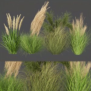 3D Collection plant vol 287  outdoor  grass - cinema 4d - blender - 3dmax