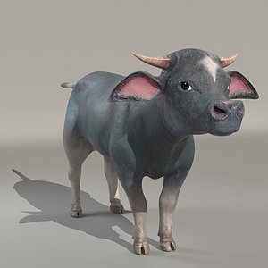 buffalokid buffalo 3D