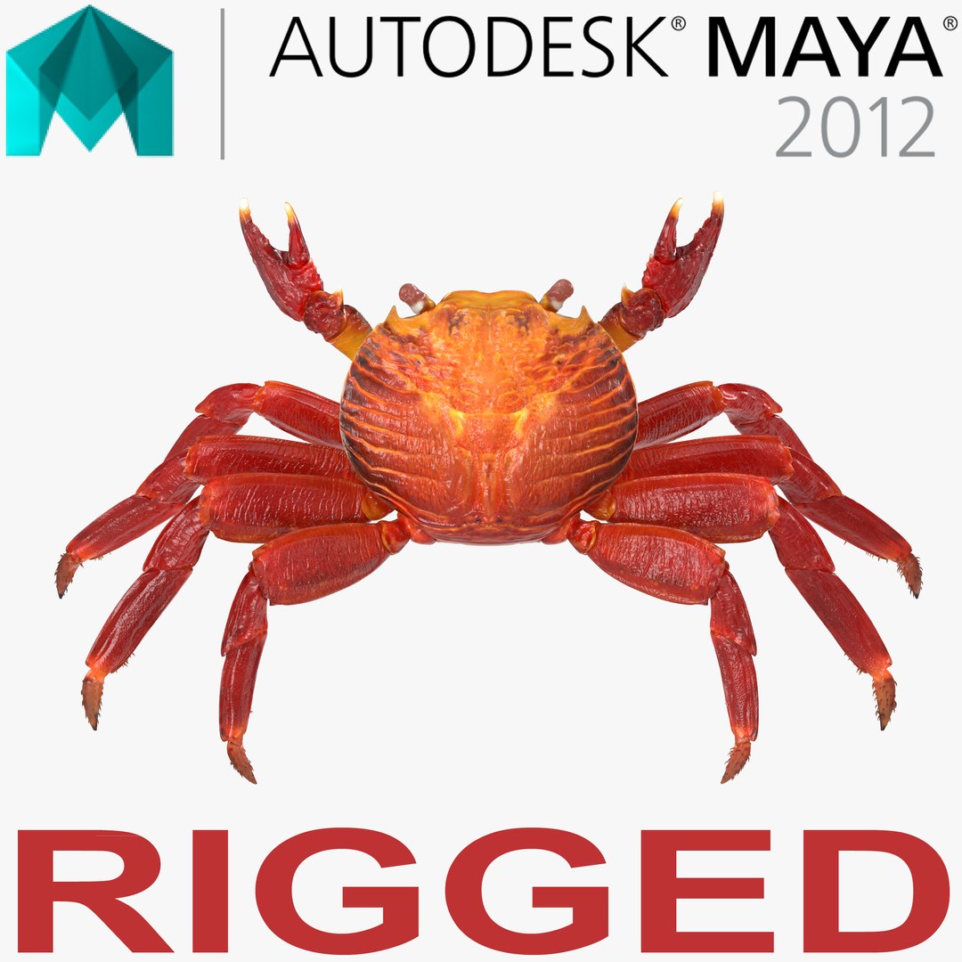 Red Rock Crab Rigged for Maya 3D model preview