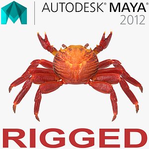 Red Rock Crab Rigged for Maya