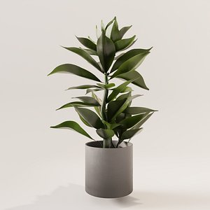 plant 3D model