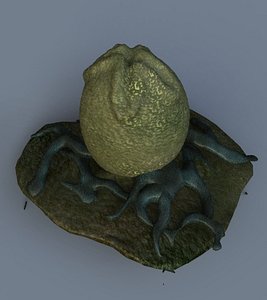 Alien Egg