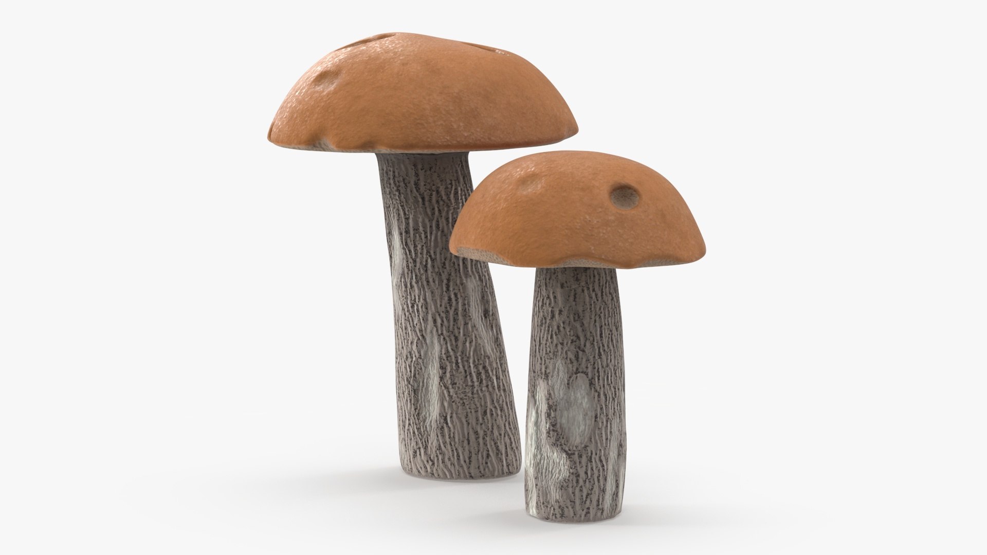 Edible Mushrooms Collection 4 3D model https://p.turbosquid.com/ts-thumb/83/HoXblG/5e/ediblemushroomscollection4c4dmodel020/jpg/1719010975/1920x1080/fit_q87/bfe8c3adad4980adddc7e715ae97213354deb63f/ediblemushroomscollection4c4dmodel020.jpg