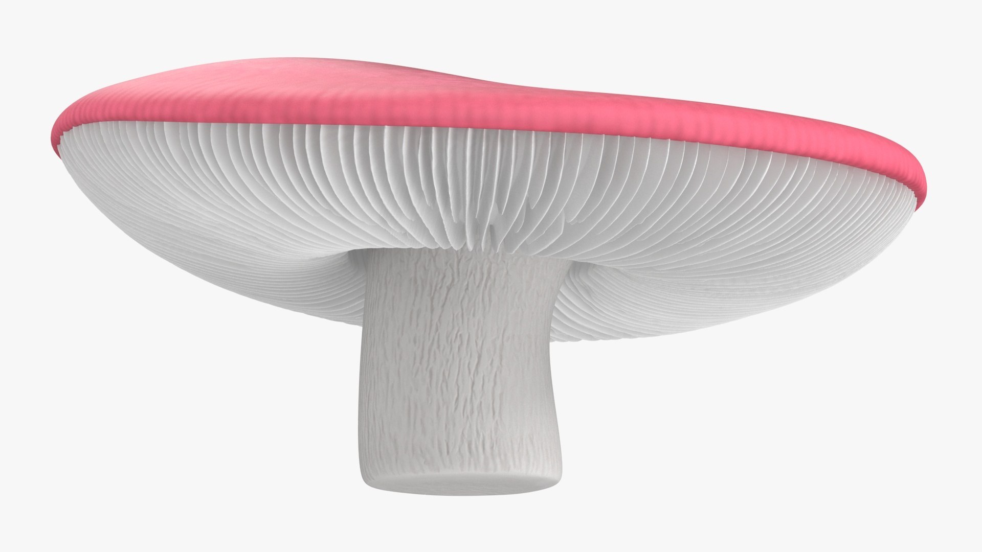 Edible Mushrooms Collection 4 3D model https://p.turbosquid.com/ts-thumb/83/HoXblG/5r/ediblemushroomscollection4c4dmodel006/jpg/1719010932/1920x1080/fit_q87/6d98dcf336e8c06c57771e4f9093a8c1c0b32530/ediblemushroomscollection4c4dmodel006.jpg
