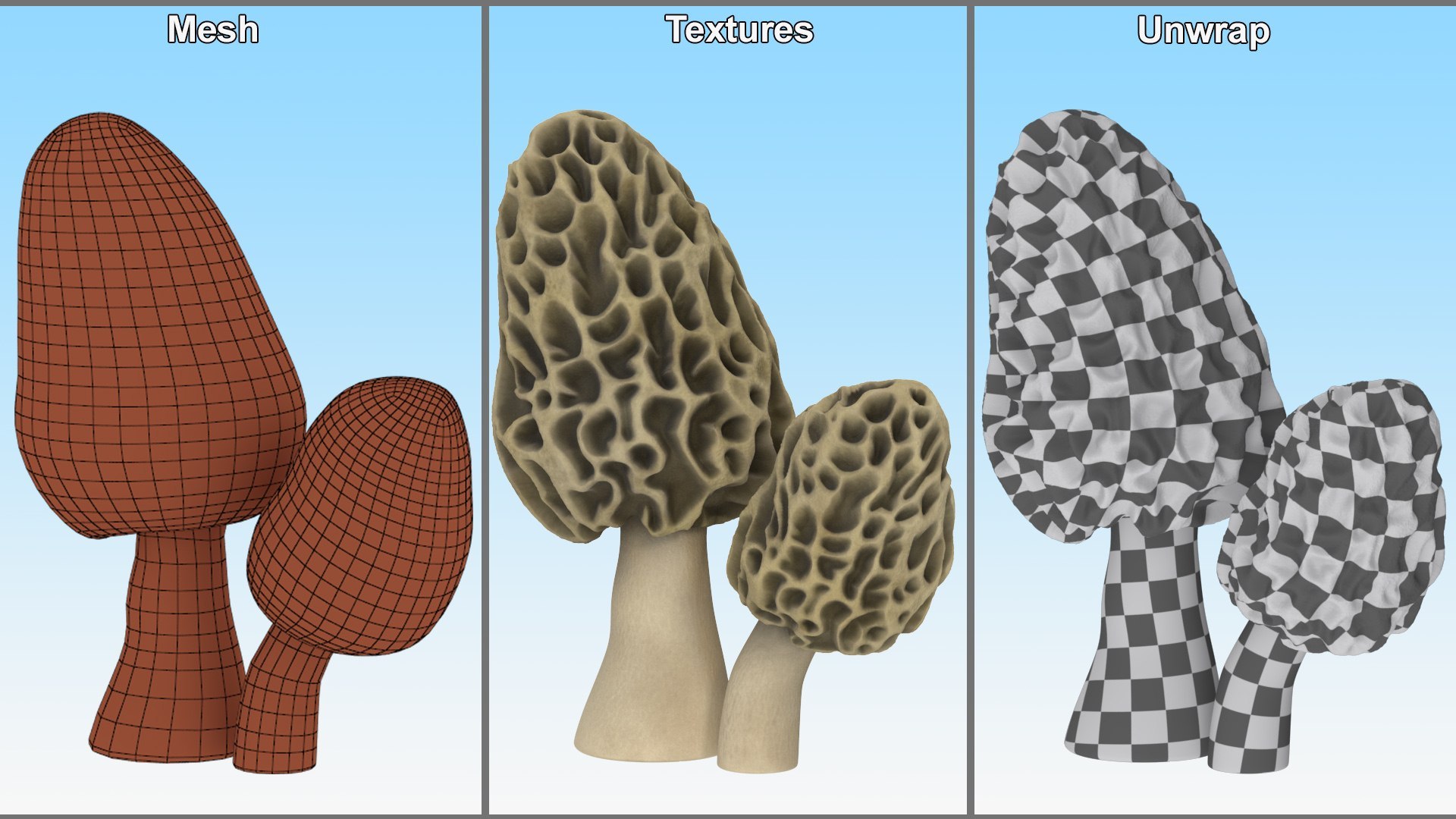 Edible Mushrooms Collection 4 3D model https://p.turbosquid.com/ts-thumb/83/HoXblG/Er/ediblemushroomscollection4c4dmodel012/jpg/1719010950/1920x1080/fit_q87/440b1cf10e8b442138deabd4182f62e75309eea8/ediblemushroomscollection4c4dmodel012.jpg