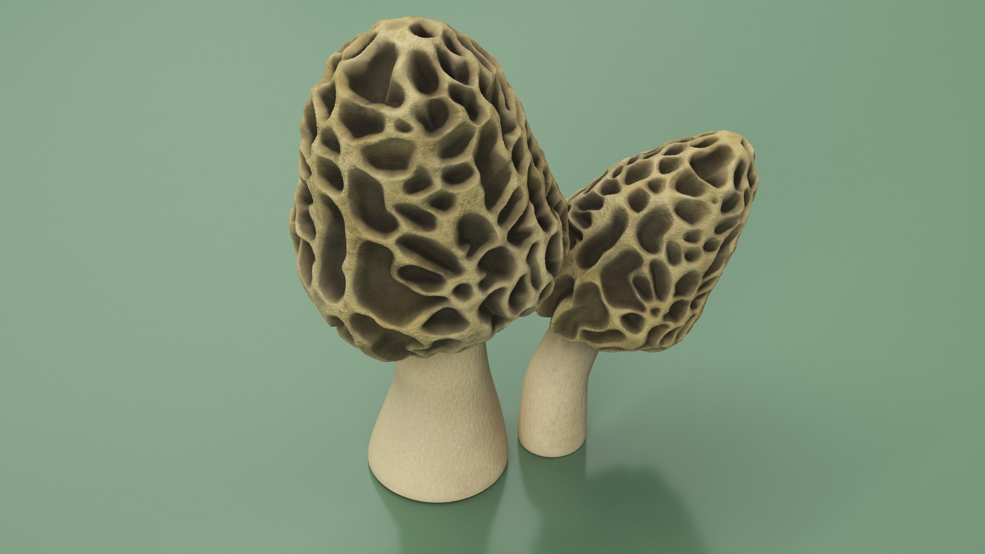 Edible Mushrooms Collection 4 3D model https://p.turbosquid.com/ts-thumb/83/HoXblG/d7/ediblemushroomscollection4c4dmodel011/jpg/1719010947/1920x1080/fit_q87/4aacb91d8f49f2c48f80cde643c38f011ef7e8eb/ediblemushroomscollection4c4dmodel011.jpg