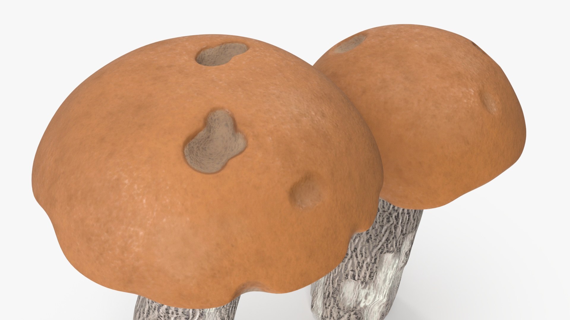 Edible Mushrooms Collection 4 3D model https://p.turbosquid.com/ts-thumb/83/HoXblG/dF/ediblemushroomscollection4c4dmodel022/jpg/1719010982/1920x1080/fit_q87/4ddfff423b57c171c3549266c1ceec0f8fd5107c/ediblemushroomscollection4c4dmodel022.jpg