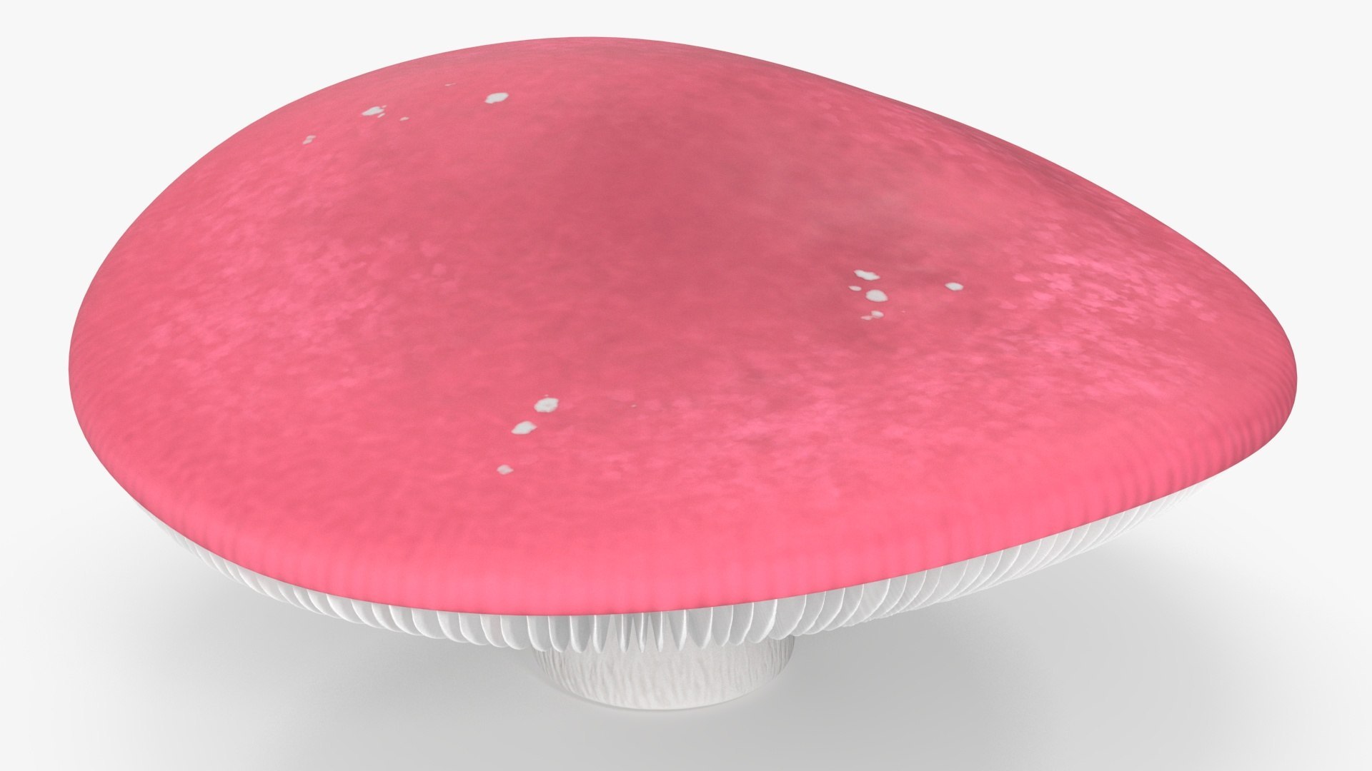 Edible Mushrooms Collection 4 3D model https://p.turbosquid.com/ts-thumb/83/HoXblG/hv/ediblemushroomscollection4c4dmodel007/jpg/1719010935/1920x1080/fit_q87/d13c869451618ca4a928392f50e7b1edc9b6e494/ediblemushroomscollection4c4dmodel007.jpg