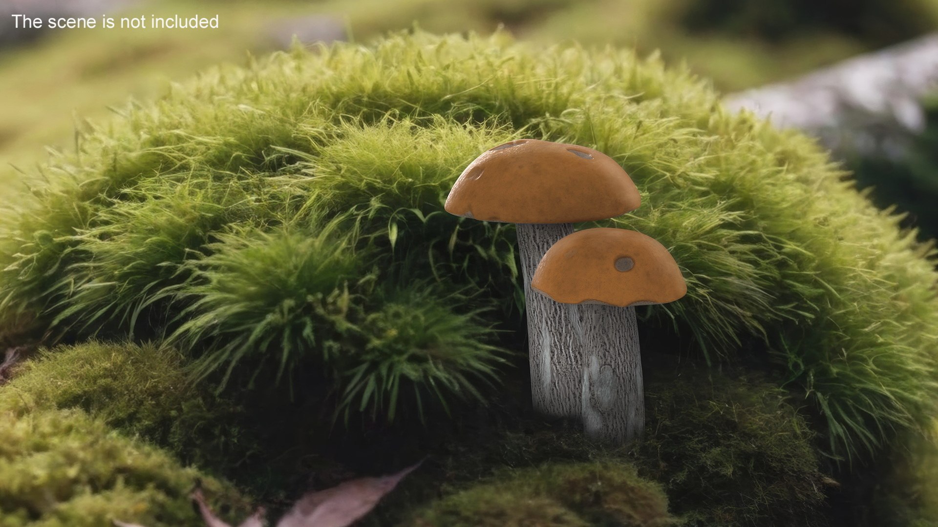 Edible Mushrooms Collection 4 3D model https://p.turbosquid.com/ts-thumb/83/HoXblG/p3/ediblemushroomscollection4c4dmodel017/jpg/1719010966/1920x1080/fit_q87/88dfd7e0a233914698e19277a1504da81b478a20/ediblemushroomscollection4c4dmodel017.jpg