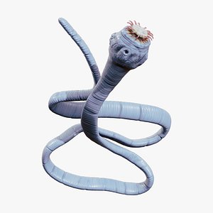 Taenia Saginata Tapeworm