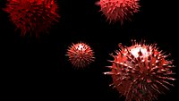 corona virus