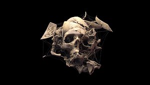 Broken Skull with Spider webs 2