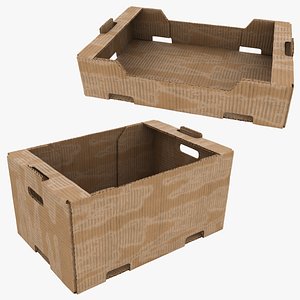 3D Fruit Cardboard Box Dusty Collection