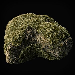 Moss Low Poly 13