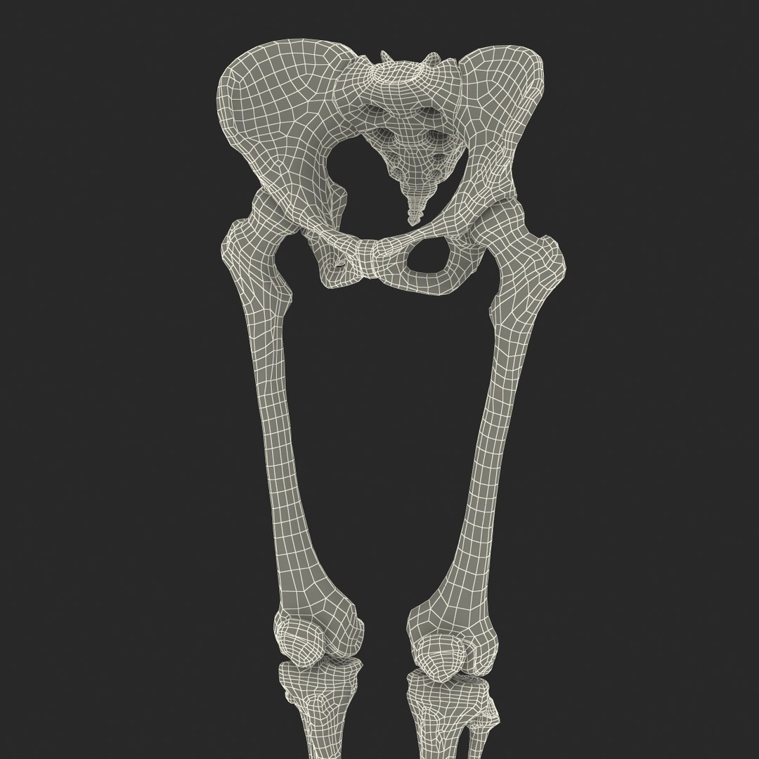 female lower body skeleton obj