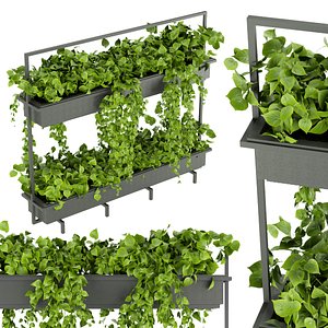 Collection plant vol 338 - indoor leaf - green - blender - 3dmax - cinema 4d
