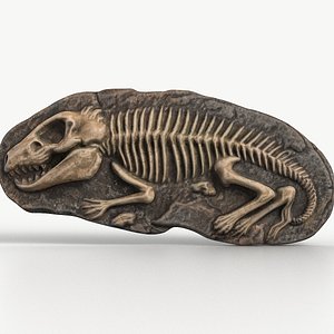 3D model Fossil Ancient Animal 001 Textured