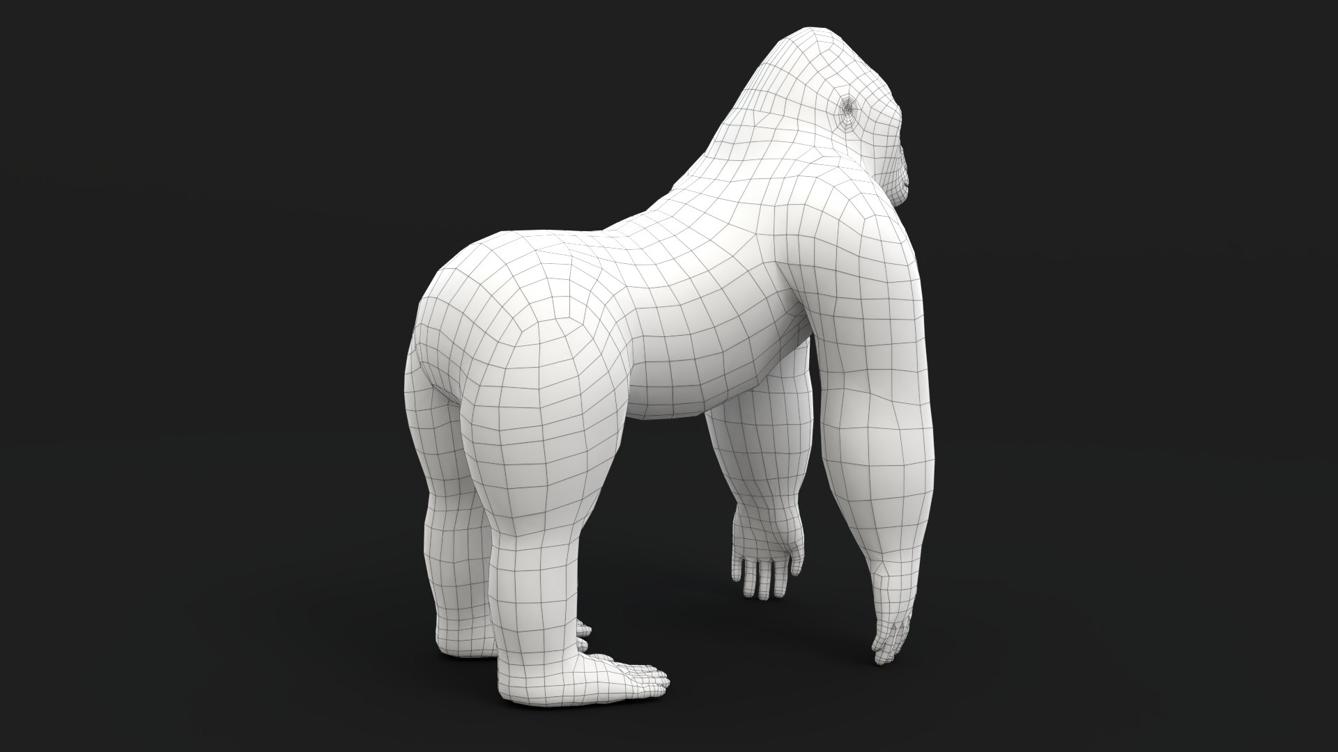 gorilla animal primate 3D model https://p.turbosquid.com/ts-thumb/83/aElbIz/SM/gorilla_thumbnail_wireframe4/png/1611160733/1920x1080/fit_q87/1dab54bb0bf3c1d1bb40da03e5062d4add255c79/gorilla_thumbnail_wireframe4.jpg