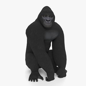 Animated Gorilla 2