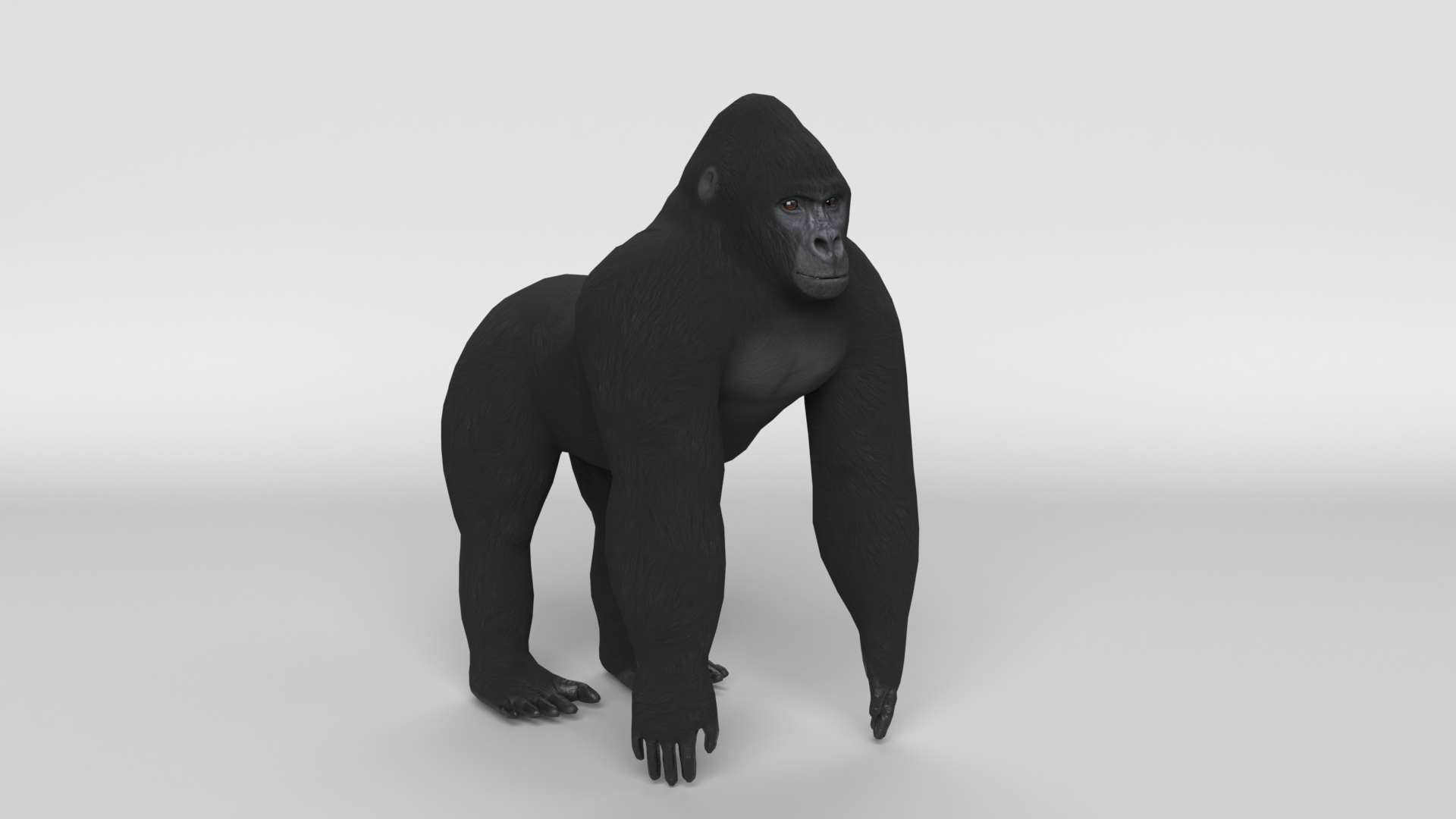 gorilla animal primate 3D model https://p.turbosquid.com/ts-thumb/83/aElbIz/sa/gorilla_nofur_images/png/1611160618/1920x1080/turn_fit_q99/925c13a3c8288cf762a343e882328c58e7f3fcf8/gorilla_nofur_images-1.jpg
