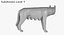 Capitoline Wolf(1)