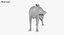 Capitoline Wolf(1)