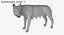 Capitoline Wolf(1)