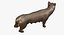 Capitoline Wolf(1)